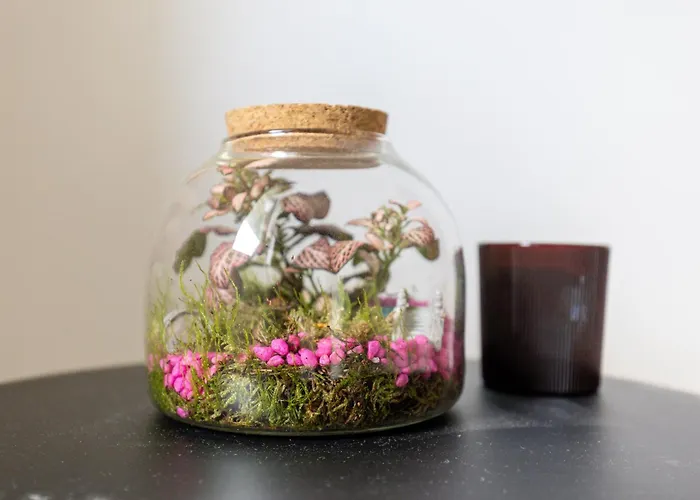 I Paralumi - Design, Luce E Relax A